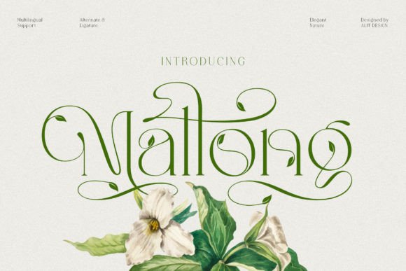 Mallong: Blending Classic Serif Elegance with Organic Charm